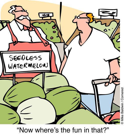 Seedless Watermellon - "Now where's the fun in that?"