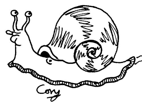 Snail.