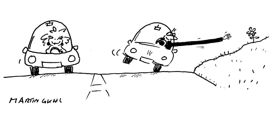 The flower picking motorist
