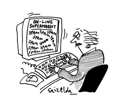 Online shopper encounters spam.