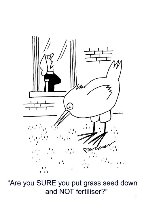 "Are you SURE you put grass seed down and NOT fertiliser?"