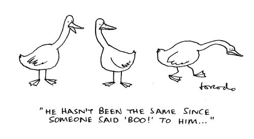 'He hasn't been the same since someone said 'boo!' to him...'