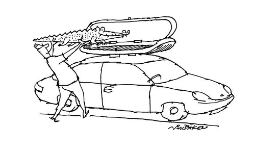 Man putting crocodile into canoe/kayak roofrack.