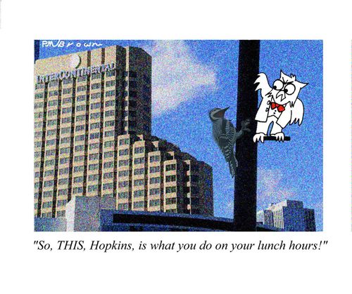'So, THIS, Hopkins, is what you do on your lunch hours!'