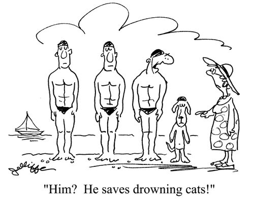 'Him? He saves drowning cats!'