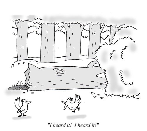 A tree falls in the forest.