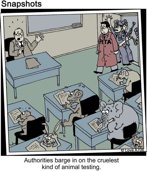 Authorities barge in on the cruelest kind of animal testing.