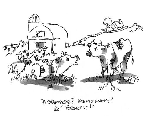 'A stampede?  With running?  Us?  Forget it!'