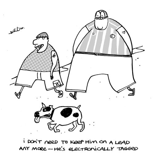 'I don't need to keep him on a lead any more - he's electronically tagged.'