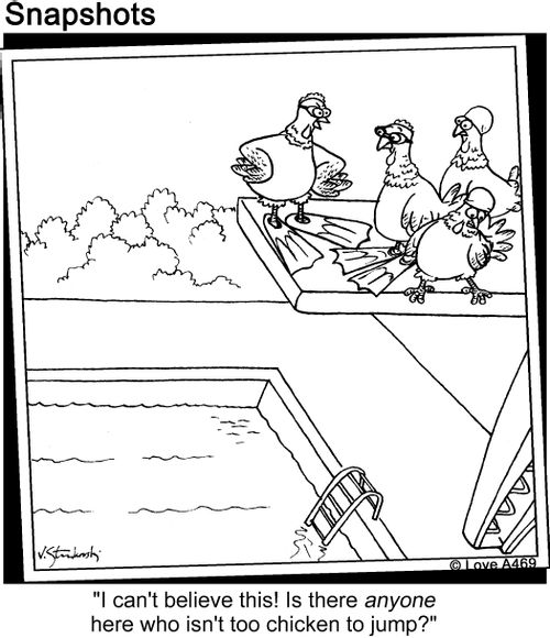 "I can't believe this! Is there anyone here who isn't too chicken to jump?"