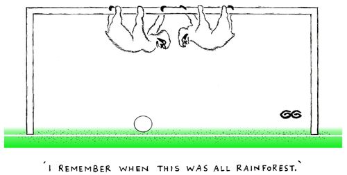 "I remember when this was all rainforest."