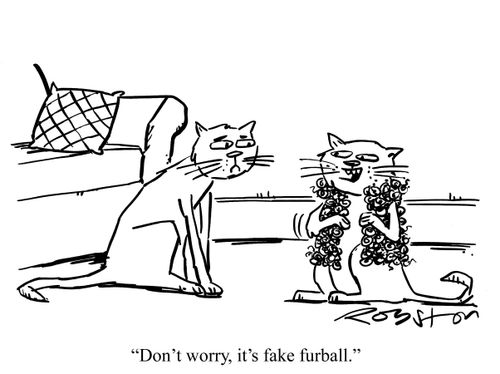 Cat shows off new jacket, saying: 'Don't worry, it's fake furball.'