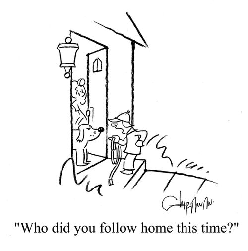 'Who did you follow home this time?'