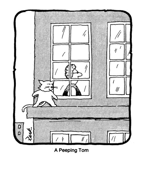 A Peeping Tom.