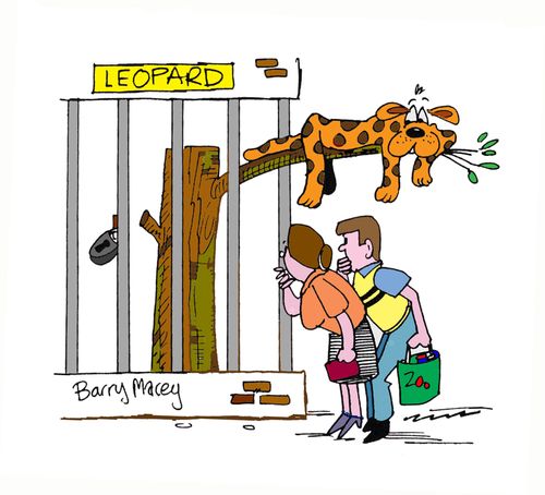 Leopard.