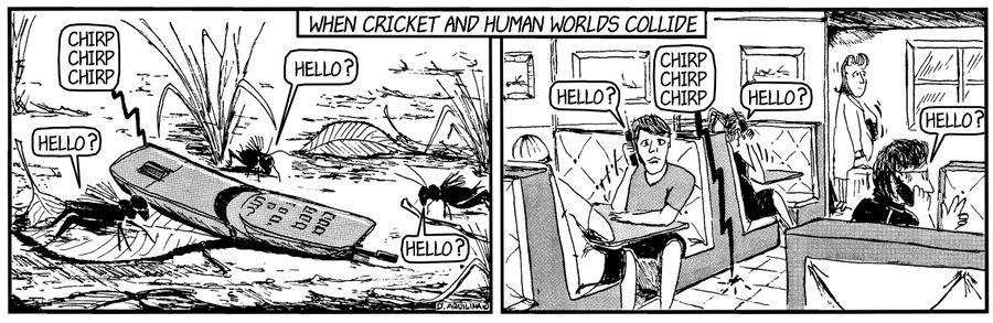 When Cricket and Human Worlds Collide.
