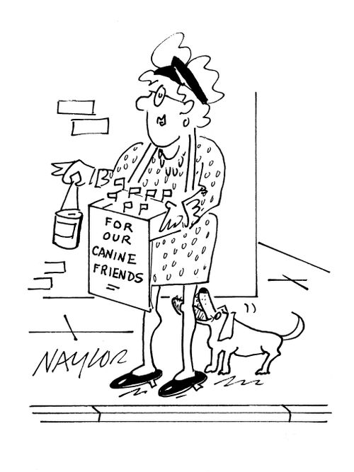 Collecting for our canine friends...