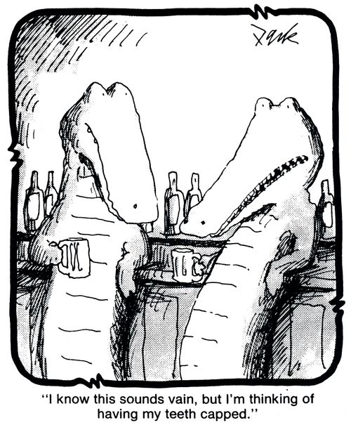 'I know this sounds vain, but I'm thinking of having my teeth capped.'