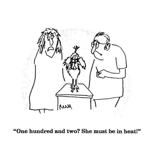 'One hundred and two?  She must be in heat!'