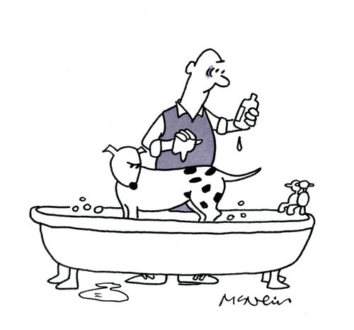 Dog Bath.
