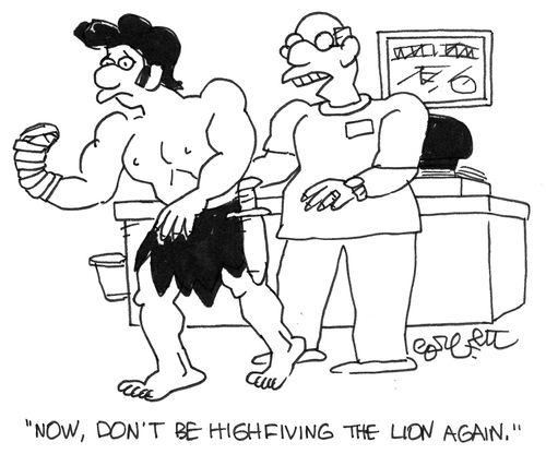 "Don't high five the lion again."