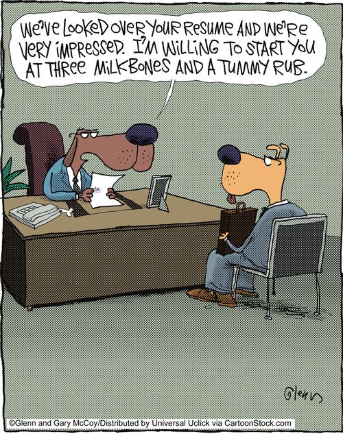 'We've looked over your resume and we're very impressed. I'm willing to start you on at milkbonesand a tummy rub.'