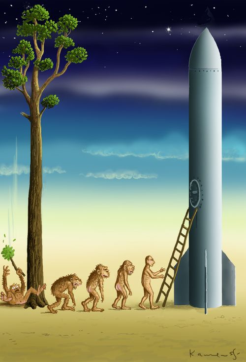 Apes evolving into man as they board a rocket