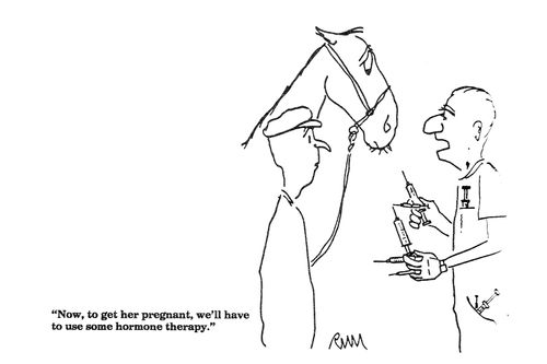 'Now, to get her pregnant, we'll have to use some hormone therapy.'