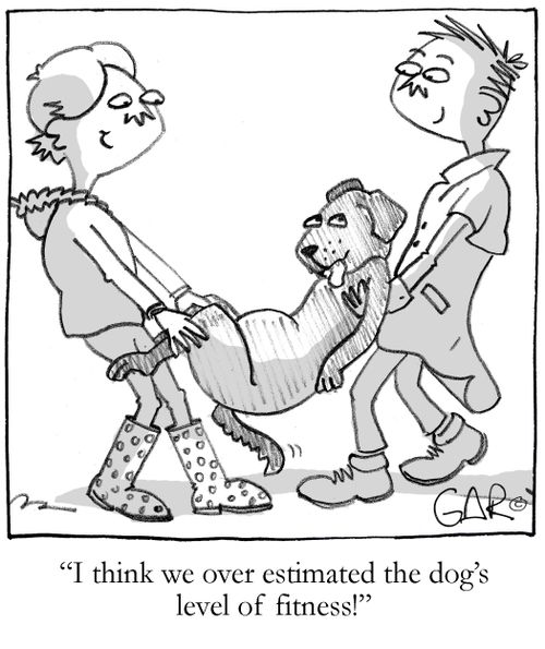 I think we over estimated the dogs level of fitness...