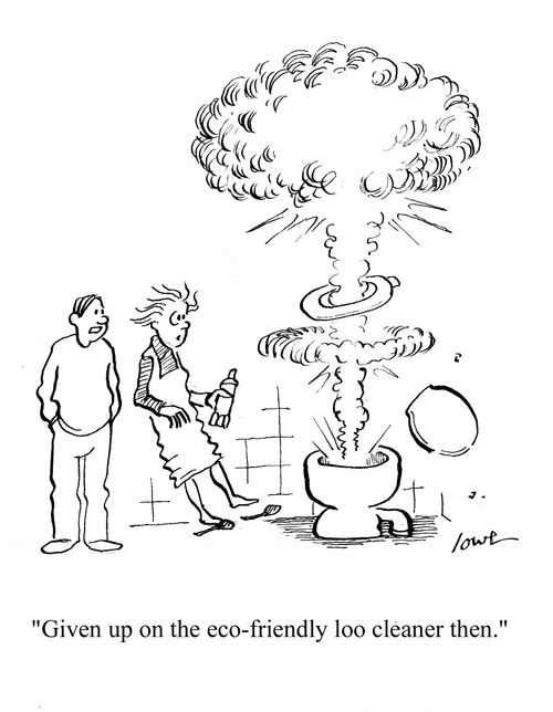 'Given up on the eco-friendly loo cleaner then.'