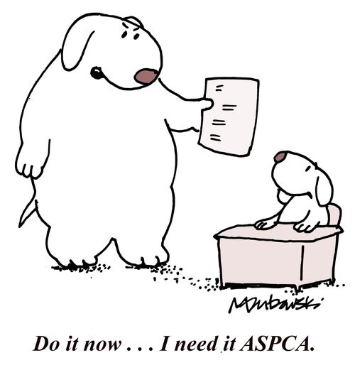 Do it now, I need it ASPCA.