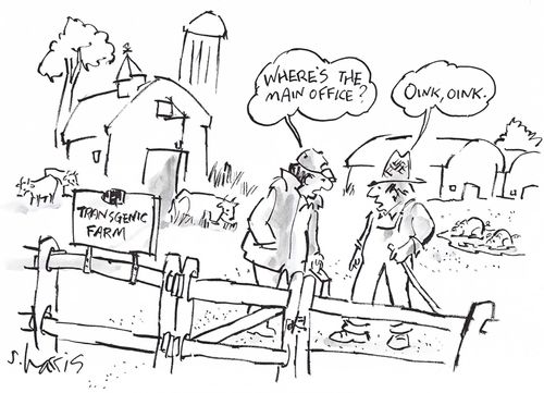 'Where's the main office?'  'Oink, oink.'