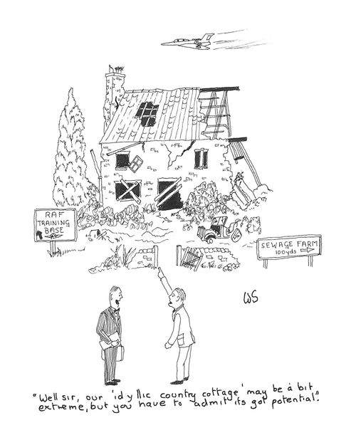'Well sir, out 'idyllic country cottage' may be a bit extreme, but you have to admit its got potential.'