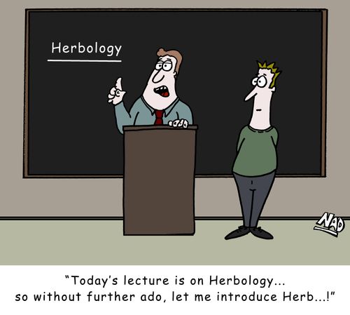 'Today's lecture is on Herbology... so without furthe ado, let me introduce Herb!'