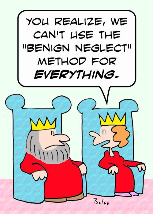 'You realize, we can't use the 'benign neglect' method for everything.'