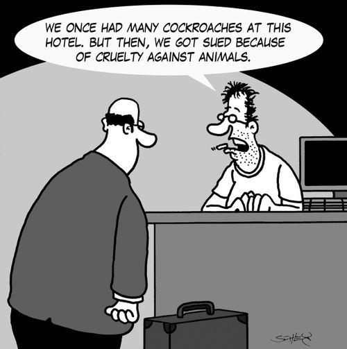 'We once had many cockroaches at this hotel. But then, we got sued because of cruelty against animals.'