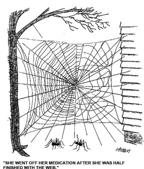 'She went off her medication after she was half finished wih the web.'