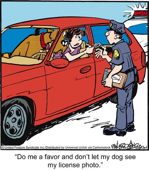 'Do me a favor and don't let my dog see my license photo.'