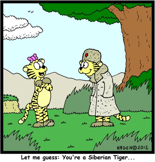 'Let me guess: You're a Siberian Tiger...'