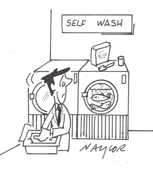 Fish living in a washing machine.