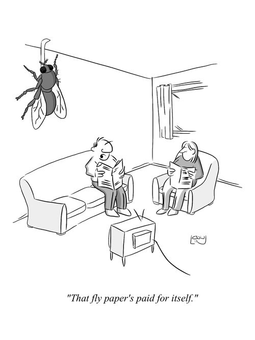 'That fly paper's paid for itself.'