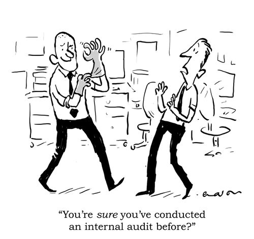 'You're sure you've conducted an internal audit before?'