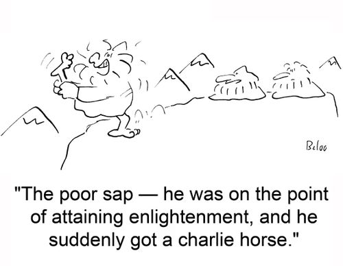 'The poor sap -- he was on the point of attaining enlightenment, and he suddenly got a charlie horse,'