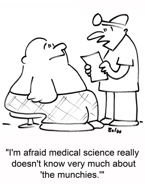 'I'm afraid medical science really doesn't know very much about 'the munchies.''