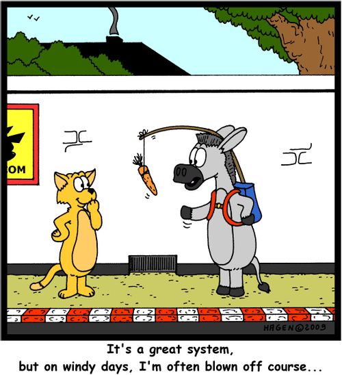 'It's a great system, but on windy days, I'm often blown off course...'