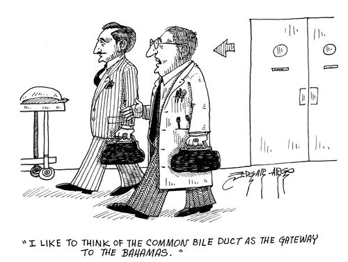 'I like to think of the common bile duct as the gateway to the Bahamas.