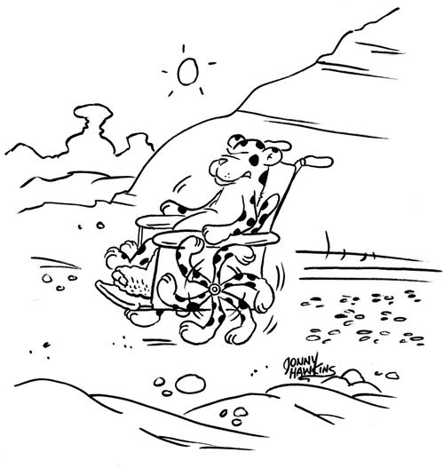 Cheetah riding in wheelchair with cheetah legs.