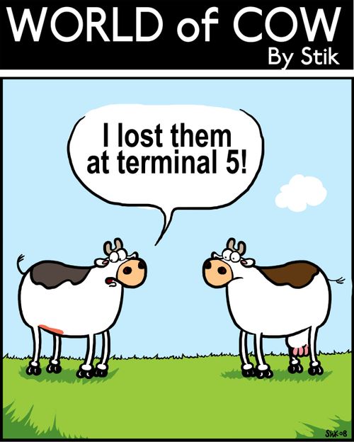 'I lost them at terminal 5!'