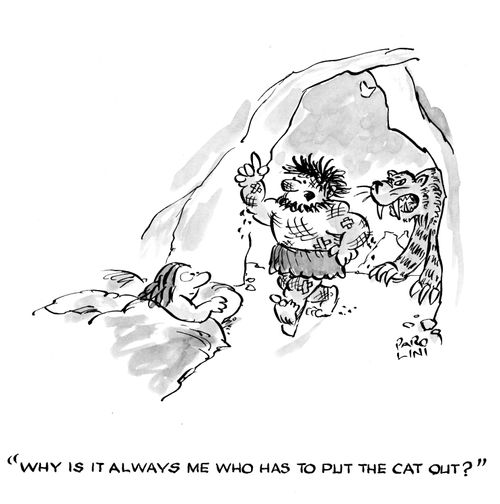 'Why is it always me that has to put the cat out?'