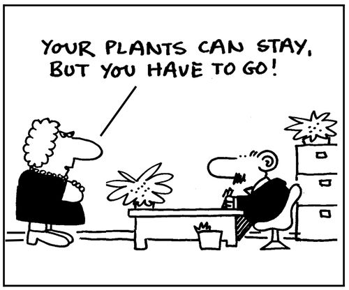'Your plants can stay, but you have to go.'